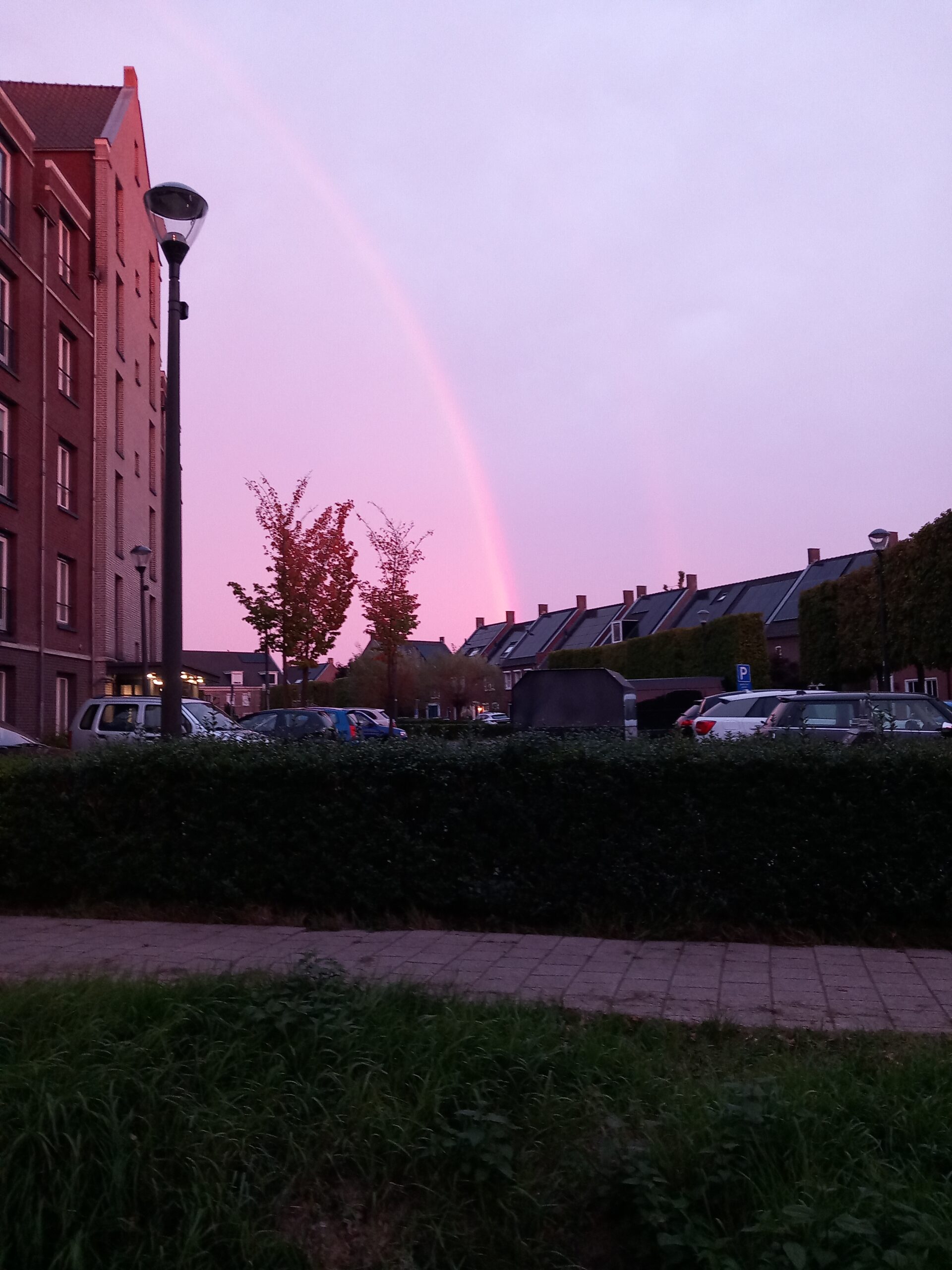 regenboog